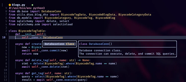 neovim lsp image